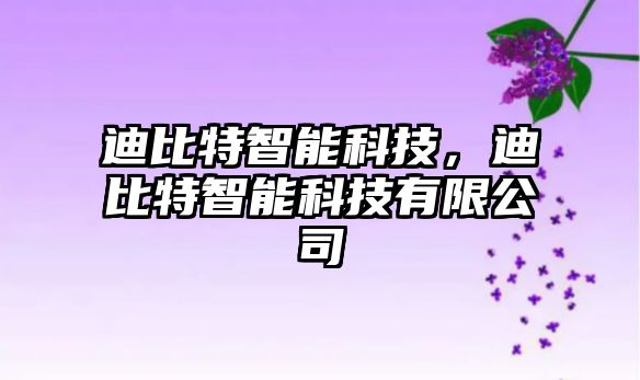 迪比特智能科技，迪比特智能科技有限公司