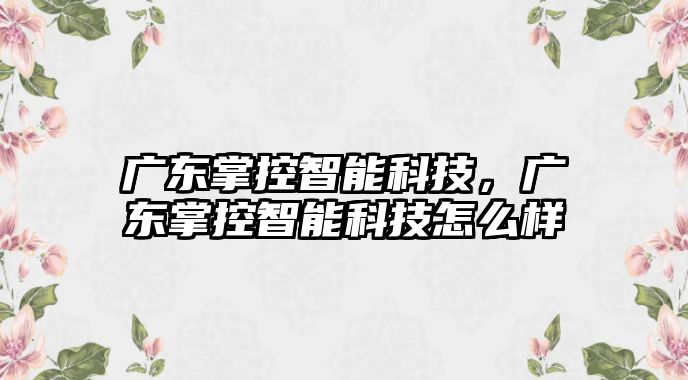 廣東掌控智能科技，廣東掌控智能科技怎么樣