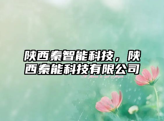 陜西秦智能科技，陜西秦能科技有限公司