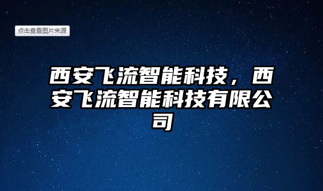 西安飛流智能科技，西安飛流智能科技有限公司