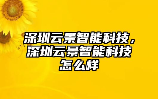 深圳云景智能科技，深圳云景智能科技怎么樣