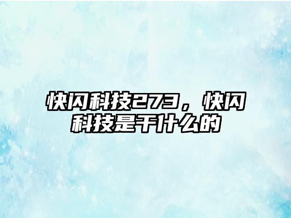 快閃科技273，快閃科技是干什么的