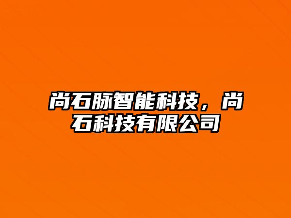 尚石脈智能科技，尚石科技有限公司