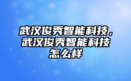 武漢俊秀智能科技，武漢俊秀智能科技怎么樣