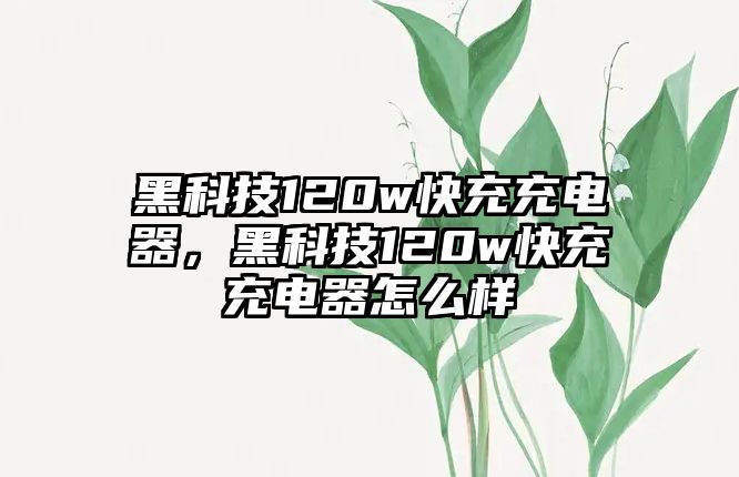 黑科技120w快充充電器，黑科技120w快充充電器怎么樣